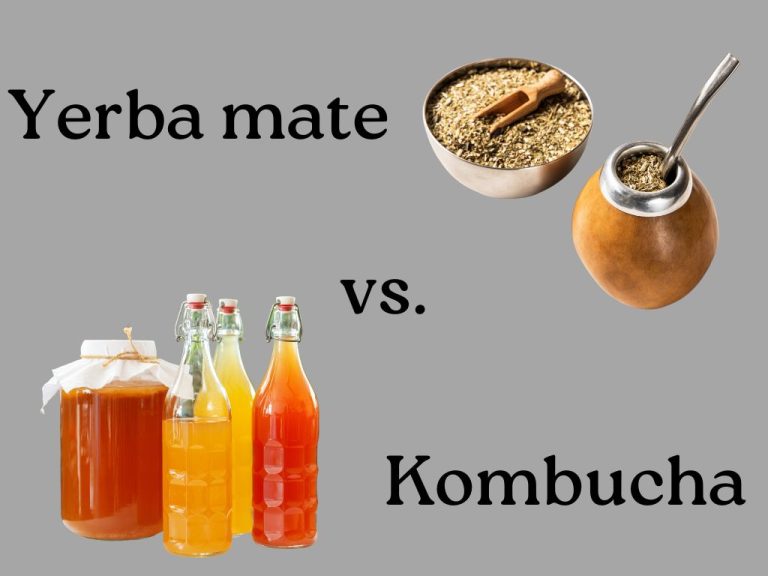 Yerba Mate Vs Kombucha What’s The Difference? Bucha Buddha