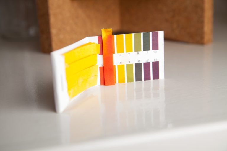 What's The Ideal PH Level For Kombucha And How To Change It