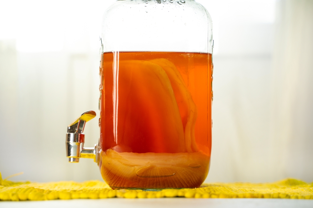 What to do with Extra SCOBYs? – YEABUCHA