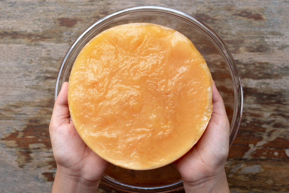 Bucha Buddha s SCOBY Fruit Leather Recipe Bucha Buddha Bucha Buddha s SCOBY Fruit Leather Recipe Bucha Buddha