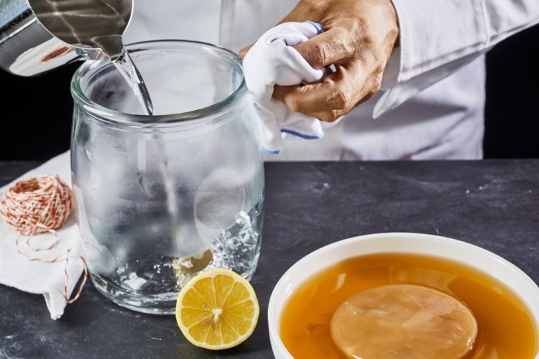 How To Make Kombucha Without Starter Tea Bucha Buddha